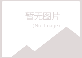 龙岩新罗傲之冶炼有限公司